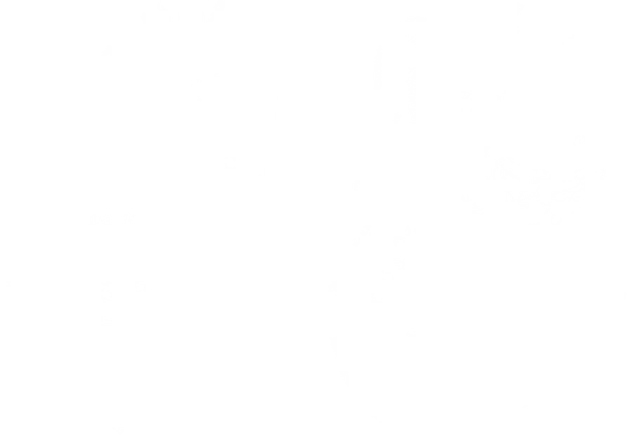 anatomía